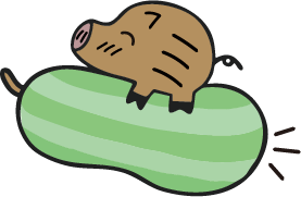 うり坊